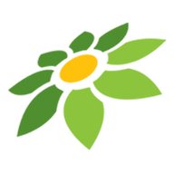 LINK TWITTER